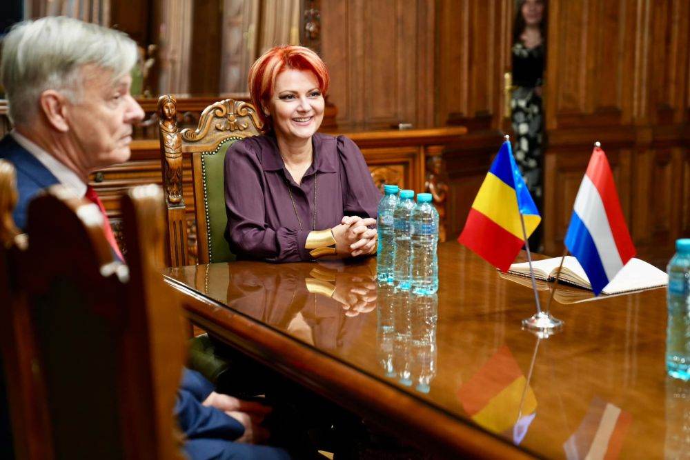 Olguţa Vasilescu : "Dacă PSD nu este ascultat în Guvern, mai bine ieşim de la guvernare”